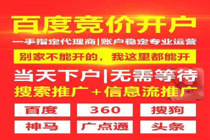 某电商平台的SEM优化案例分享
